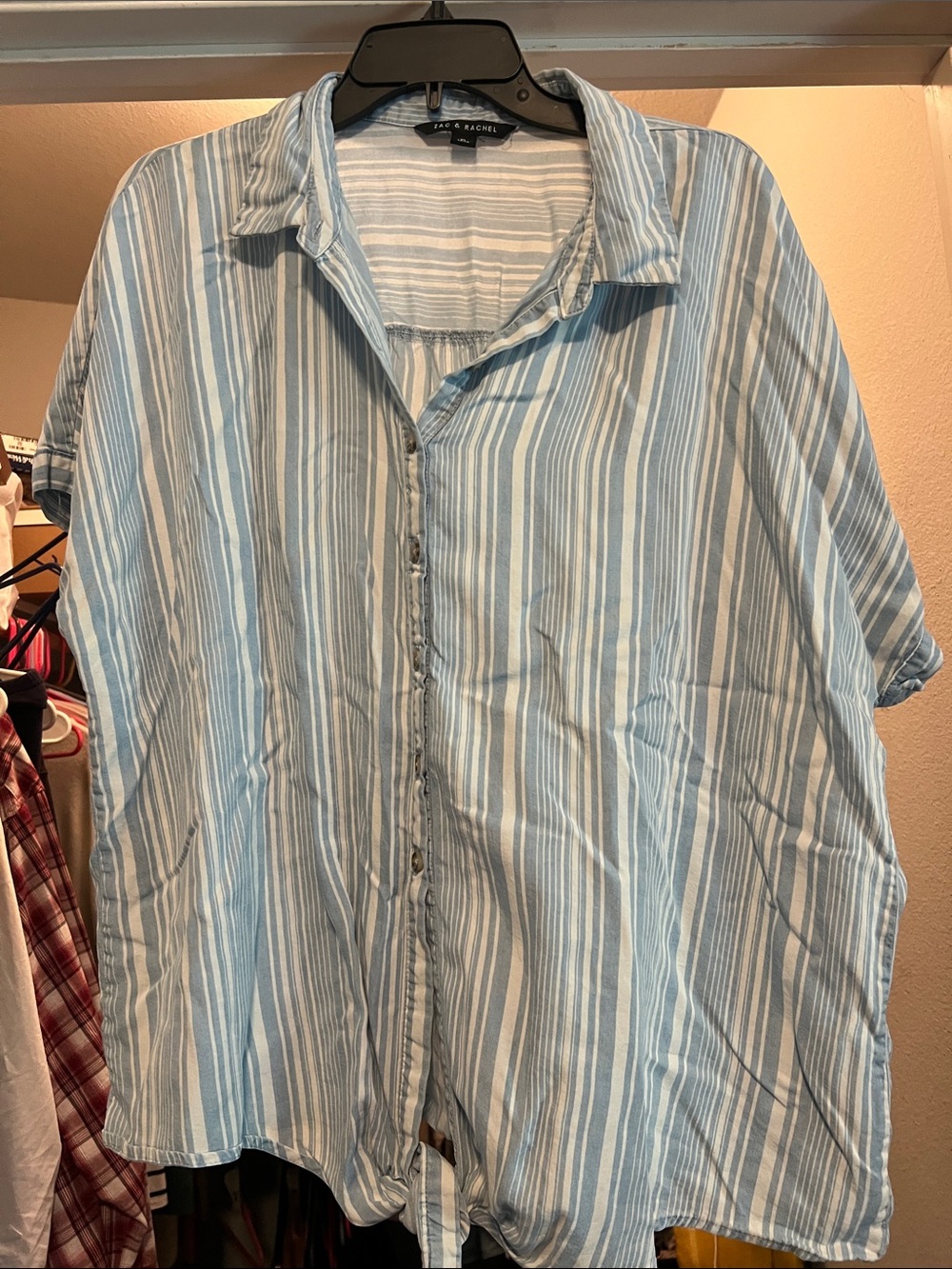 Zac & Rachel Blue and White Striped Button-Front Shirt